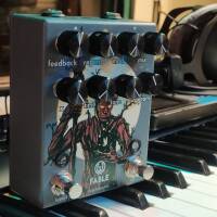 WALRUS AUDIO FABLE (grains âgés d'1 an)