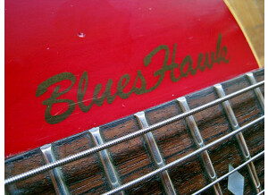 Gibson BluesHawk (24501)