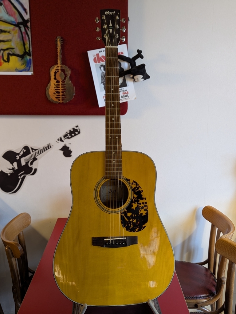 Vends Guitare dreadnought Cort Earth 300V
