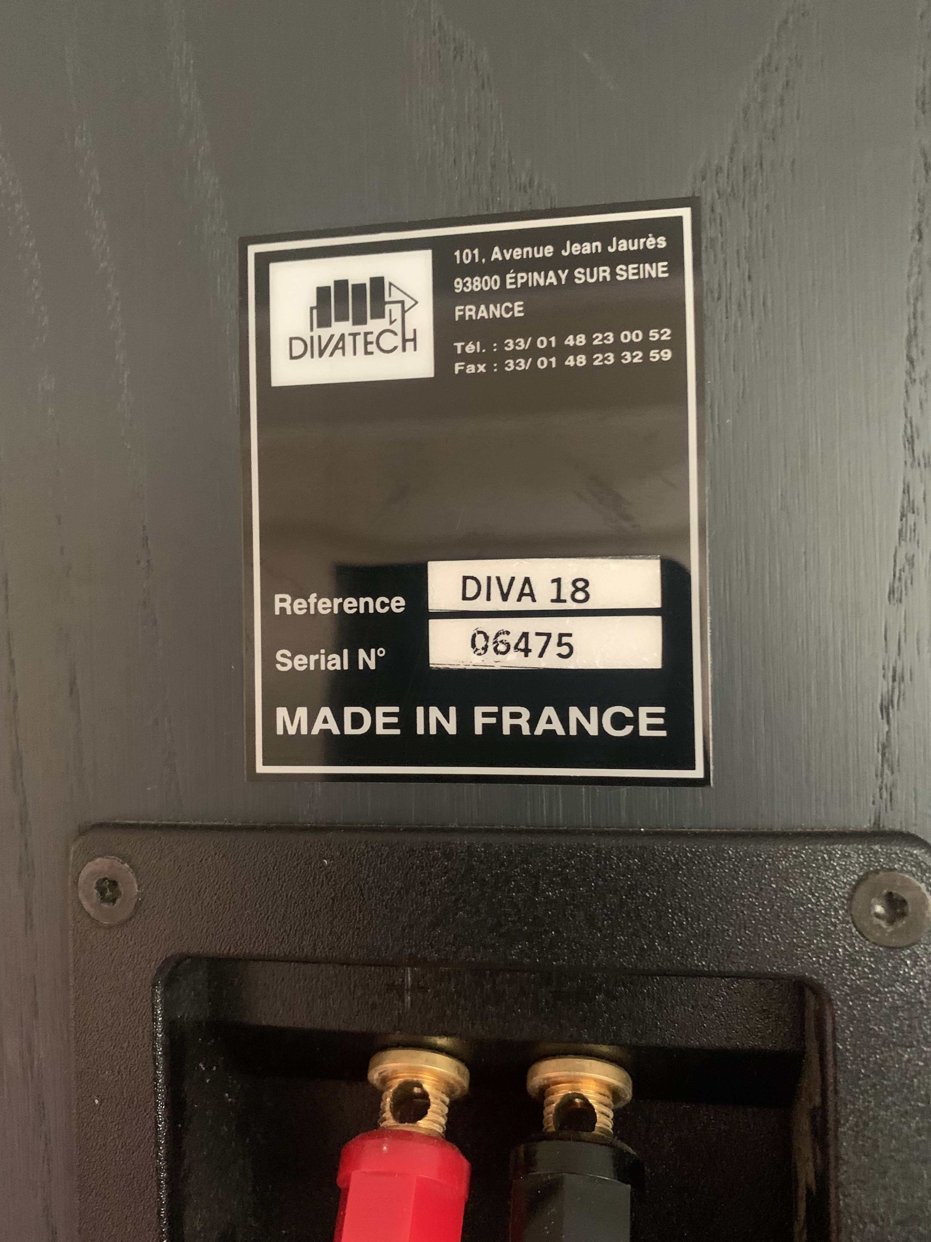 DIVA 4