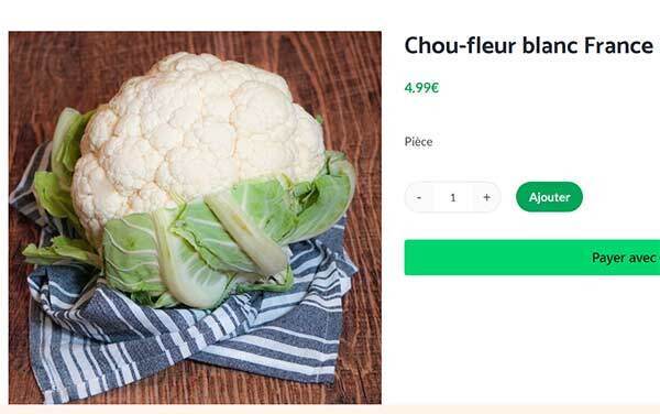 6800524.jpg 6800524.jpg