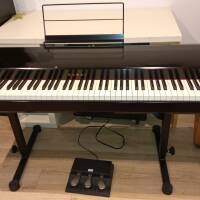 Vends Kawai VPC1 + accessoires