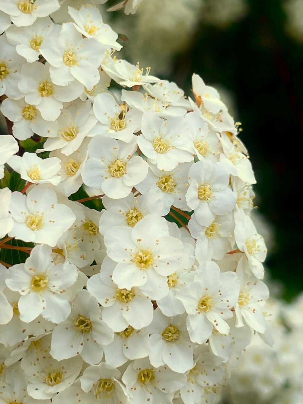 6800934.jpg 6800934.jpg