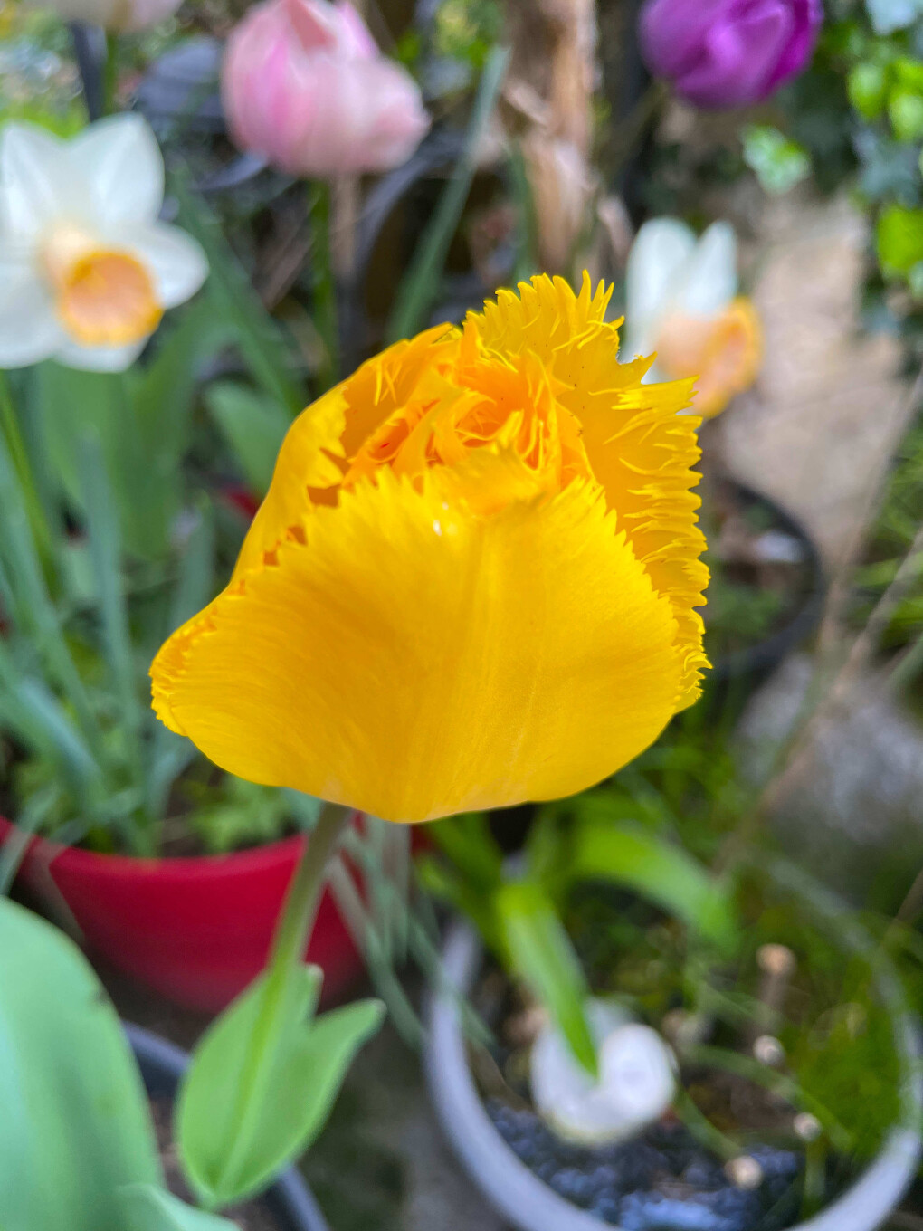 6800938.jpg 6800938.jpg