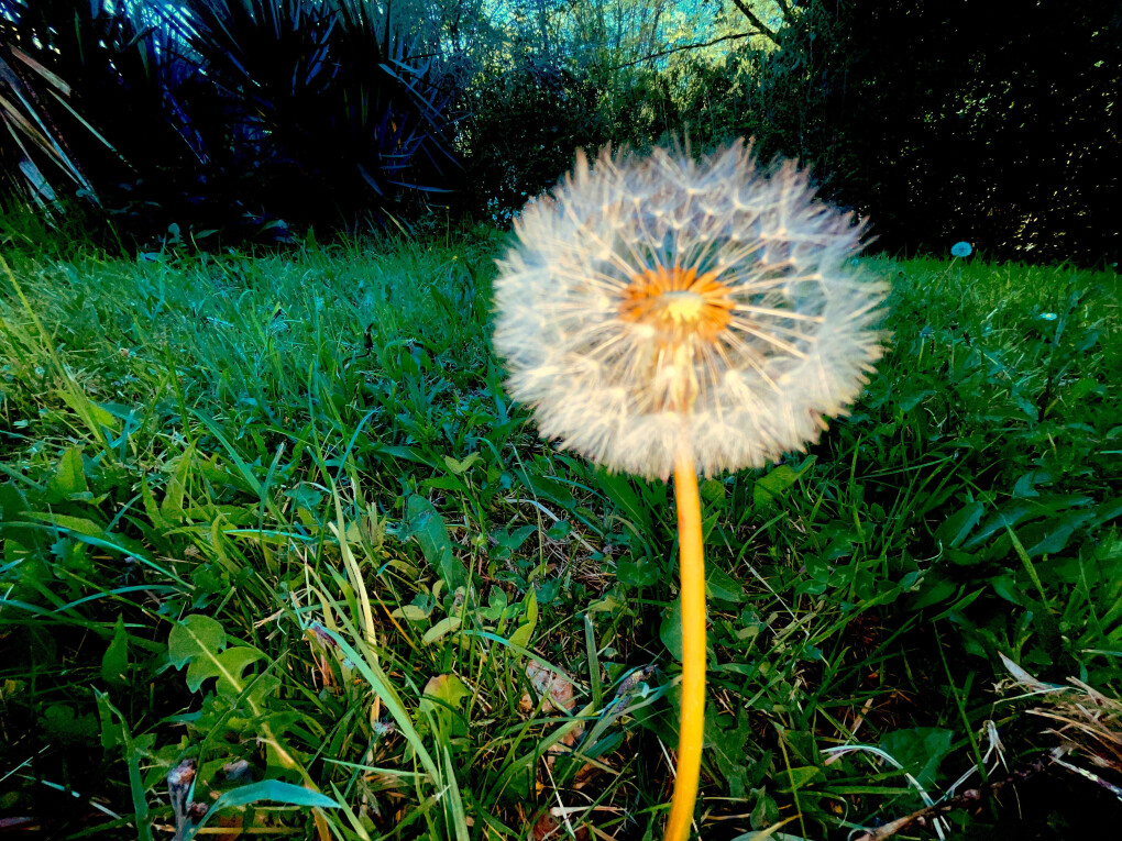 6800940.jpg 6800940.jpg