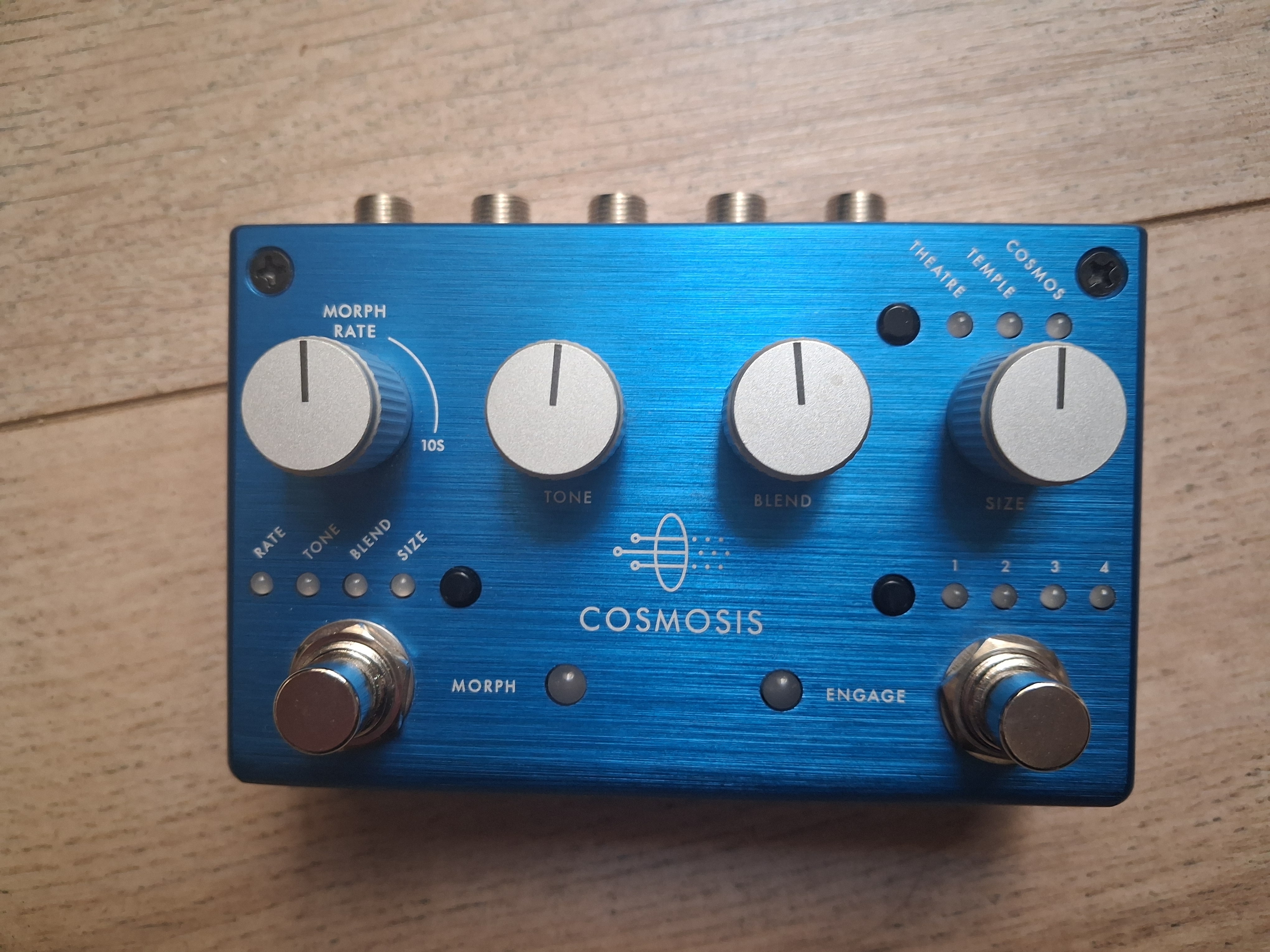cosmosis pigtronix reverb