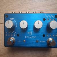 cosmosis pigtronix reverb
