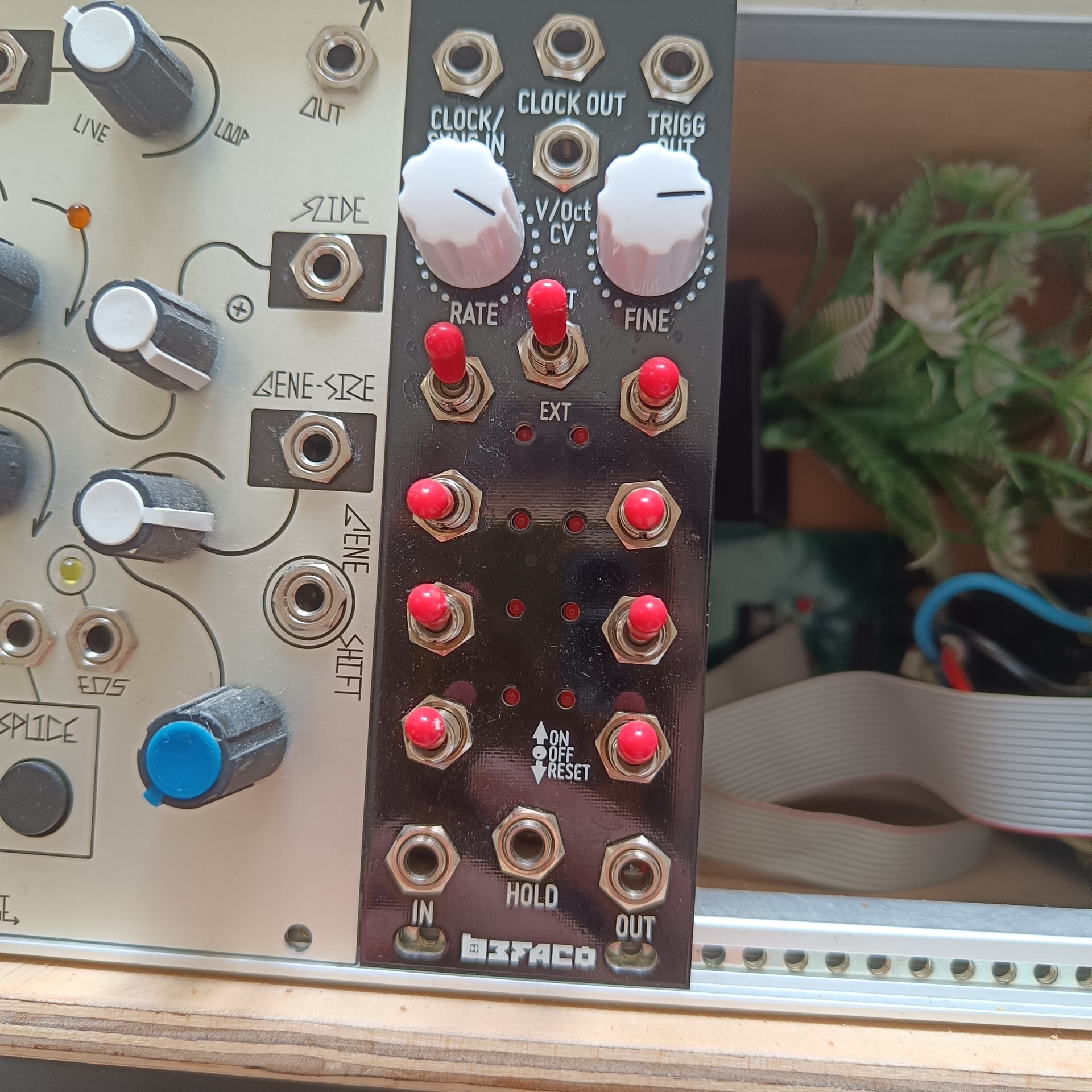 Befaco Sampling Modulator
