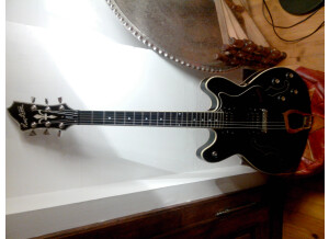 Hagstrom Viking - Black Gloss (68563)