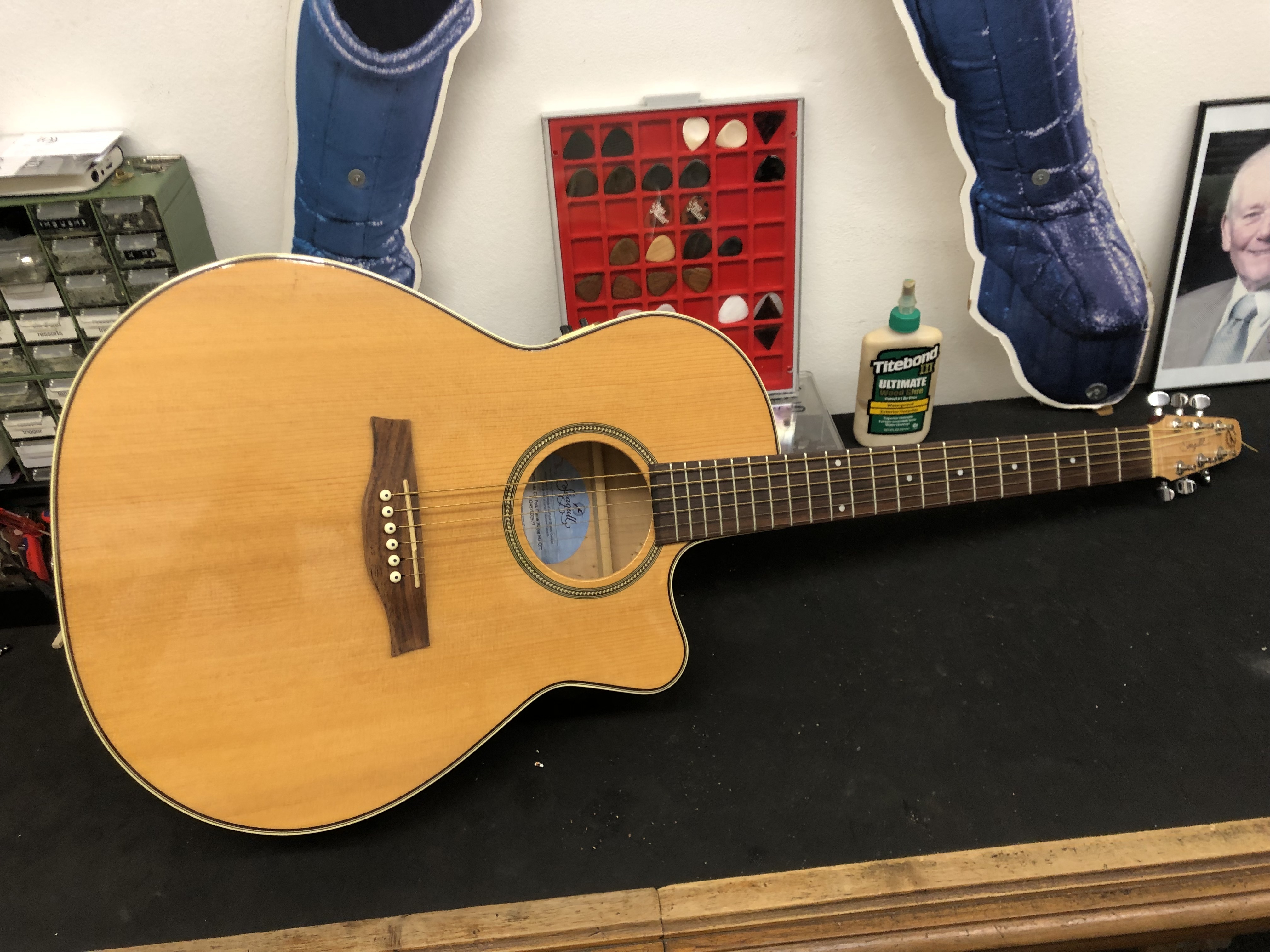 Vends Dreadnough Cutaway