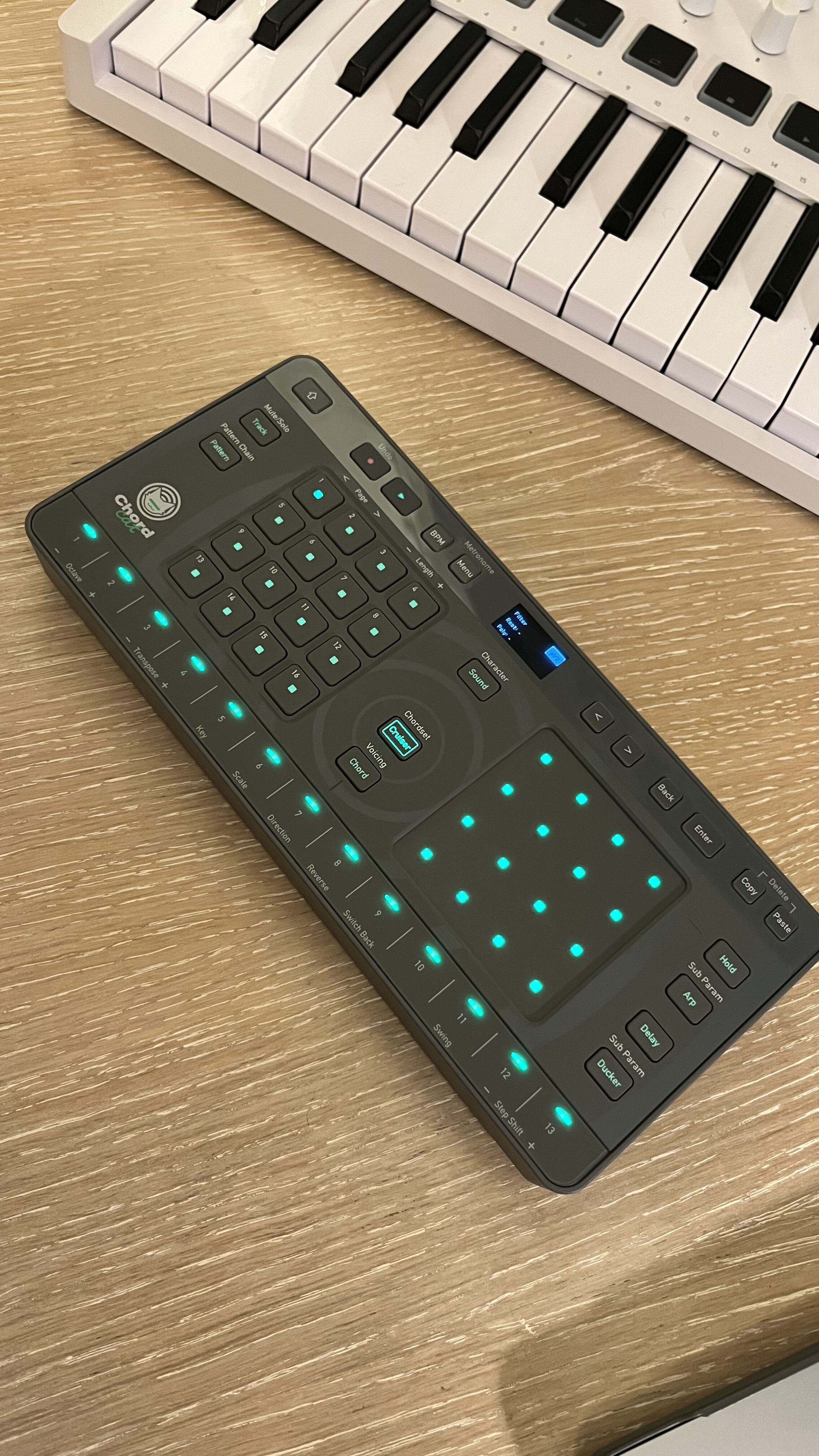 AlphaTheta Toraiz Chordcat