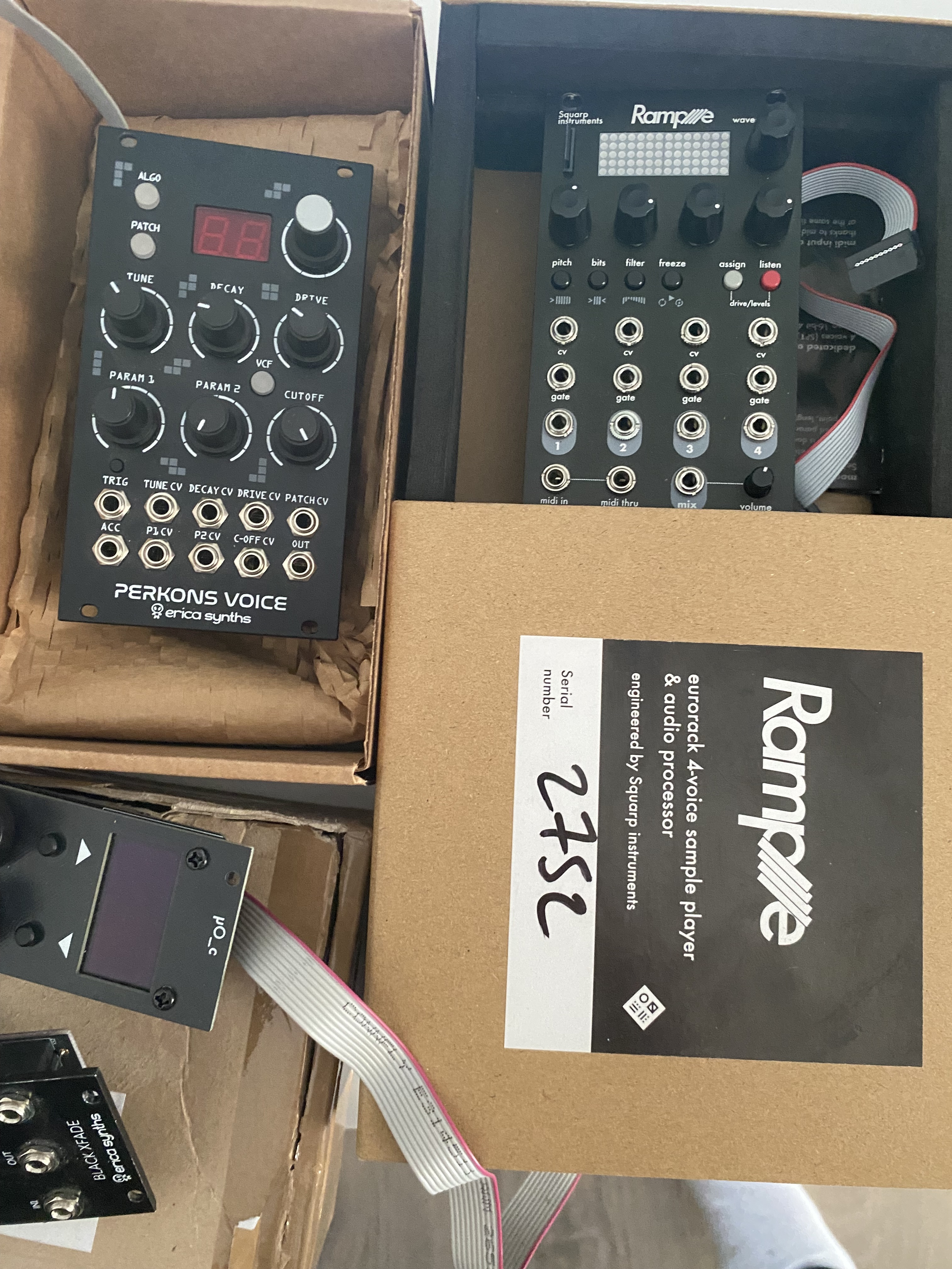 Erica synths perkons voice