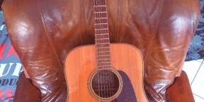 Takamine gd93-nat