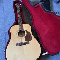 Guitare acoustique Norman