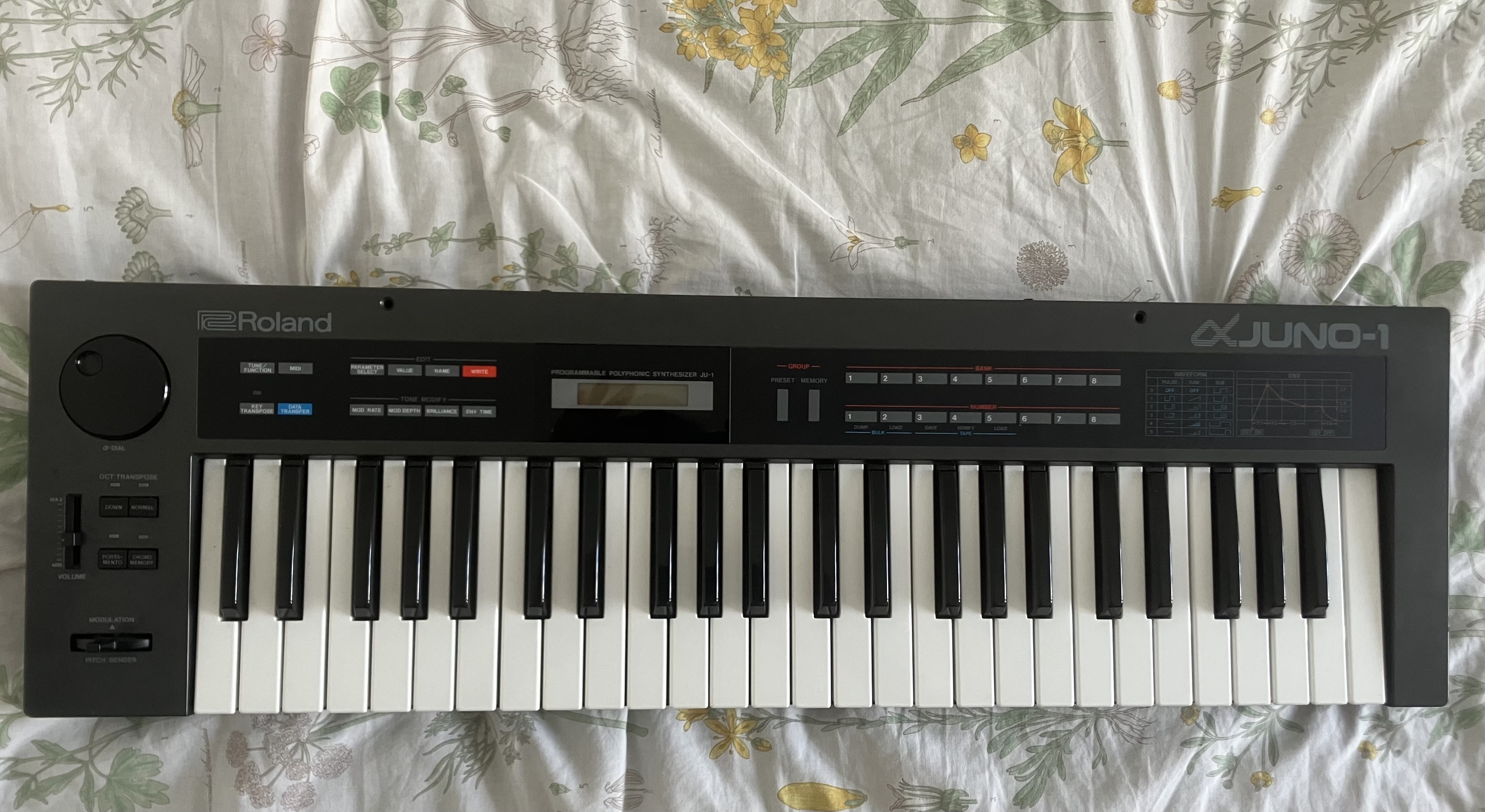 Vends Juno 1 Alpha avec son case UDG