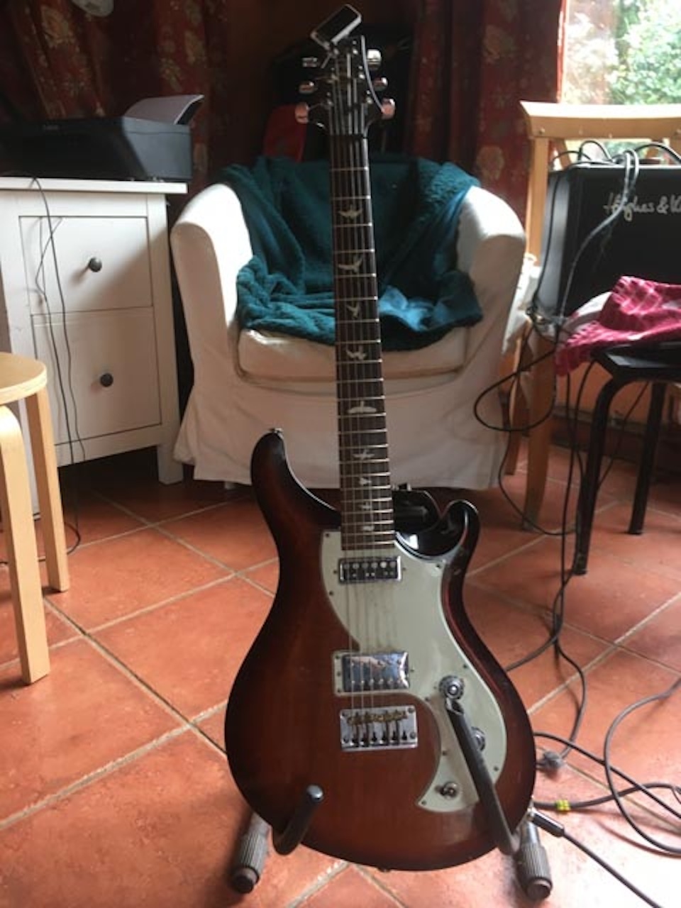 PRS S2 Vela 2016, rare avec Birds
