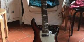 PRS S2 Vela 2016, rare avec Birds