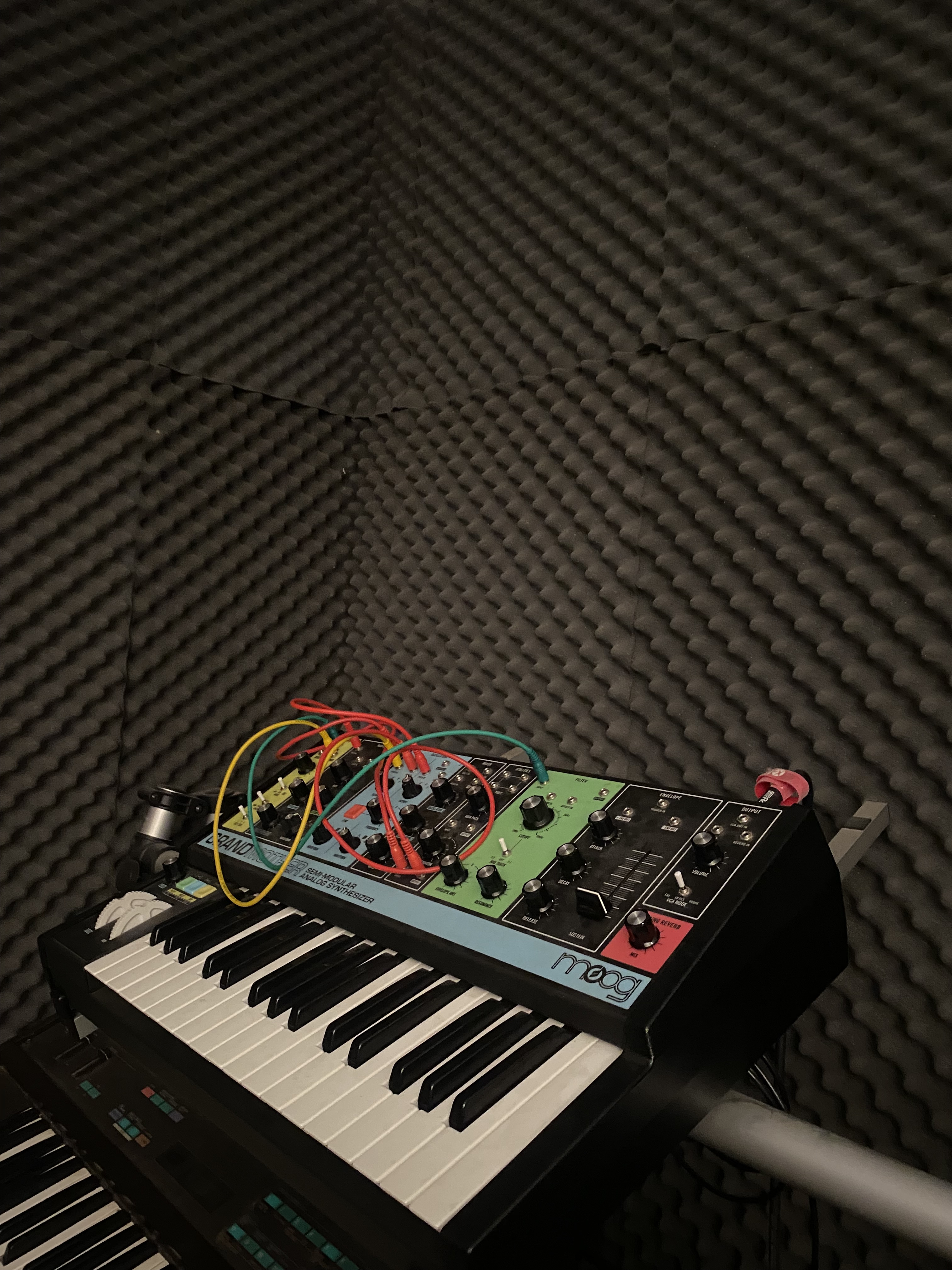Moog Music Grandmother (76346)