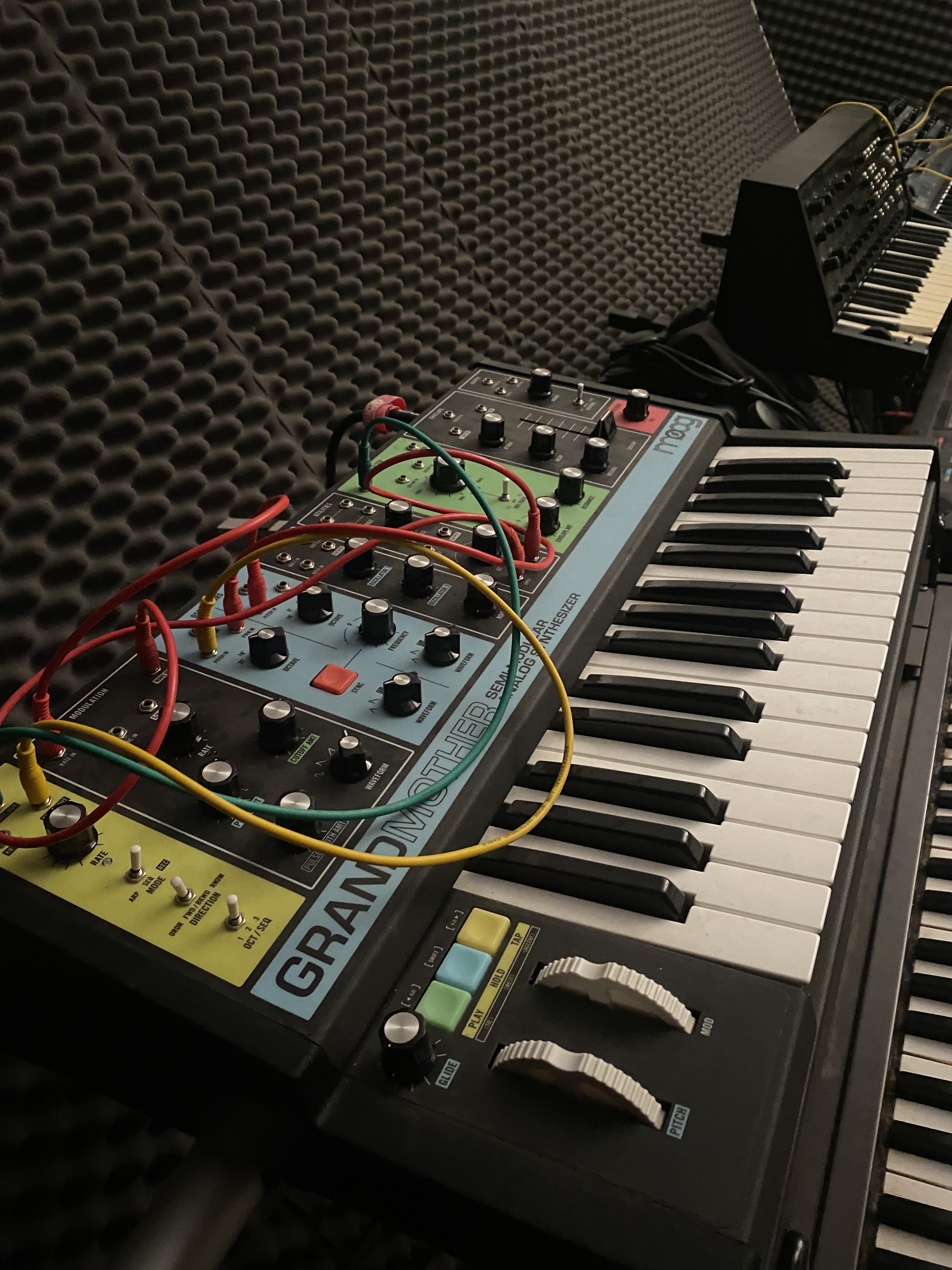 Moog Music Grandmother (46392)