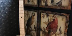 Vends Bohemian Guitars Surfwax avec housse