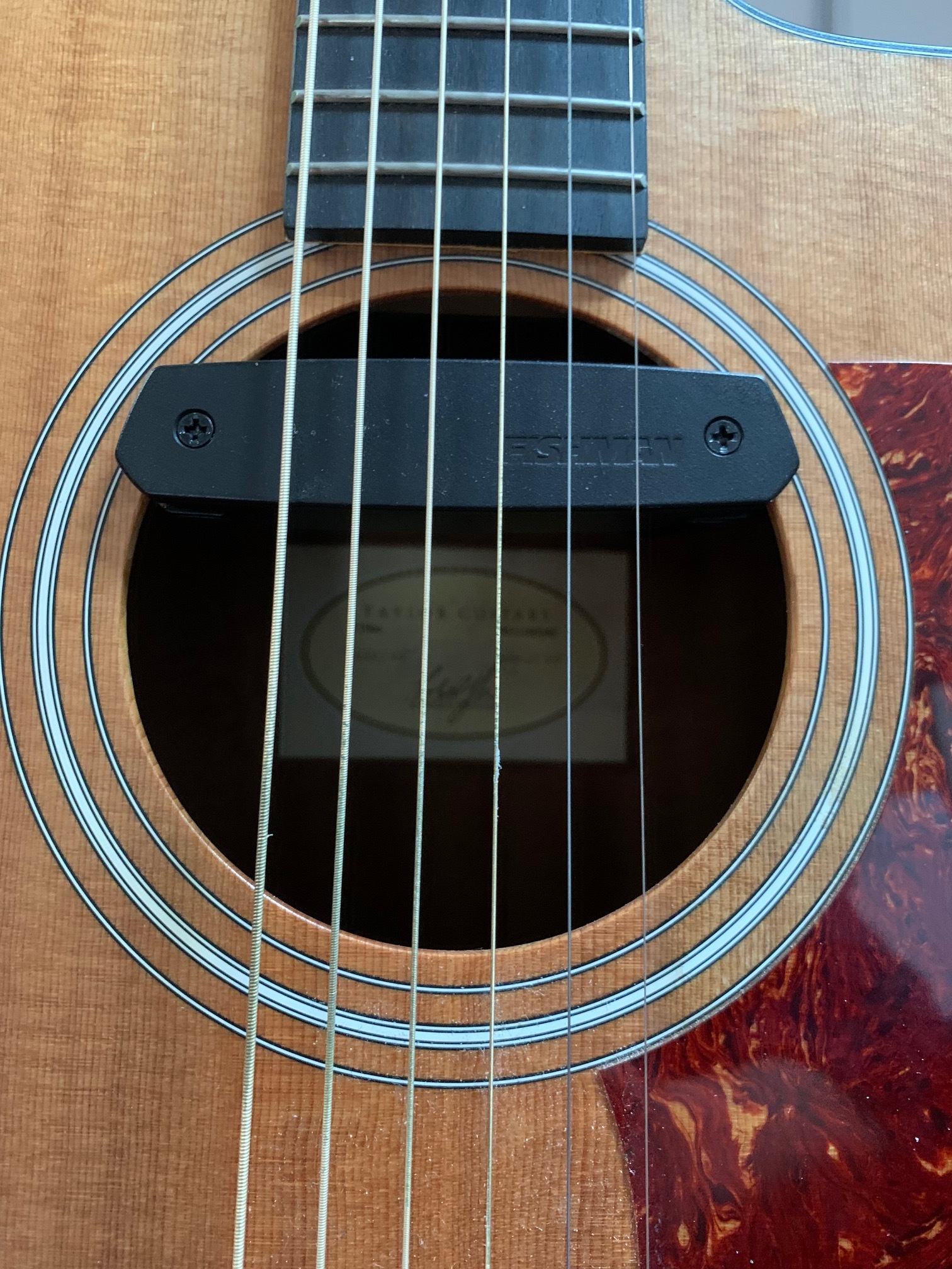 Taylor 110ce (69453)