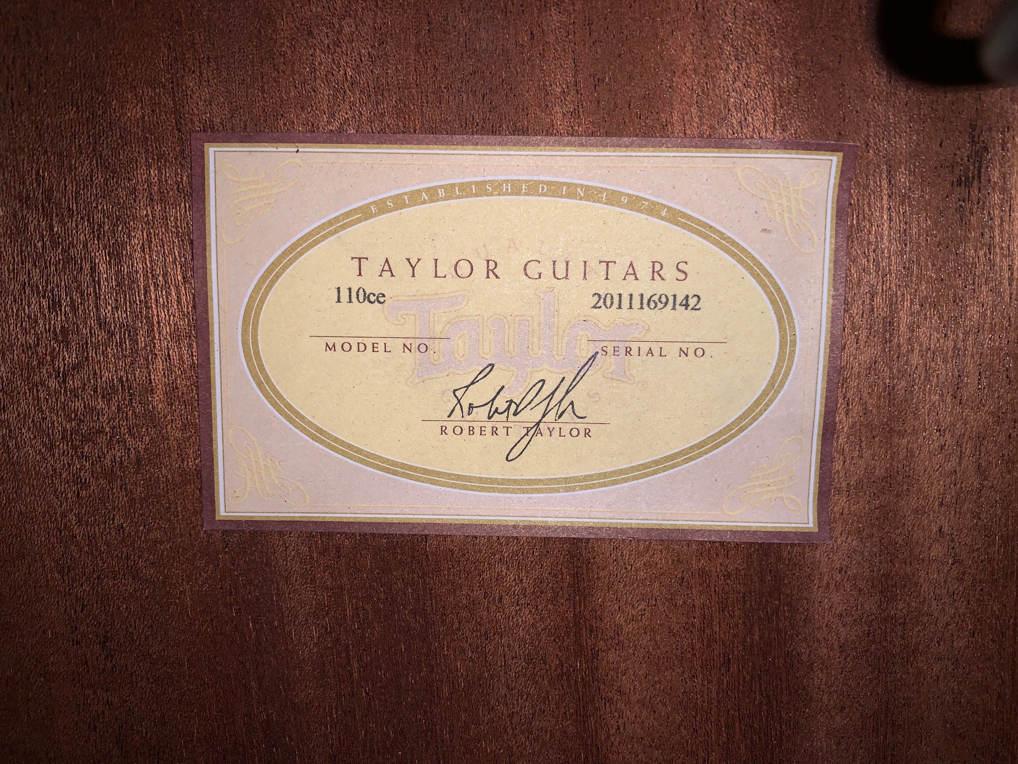 Taylor 110ce (1)