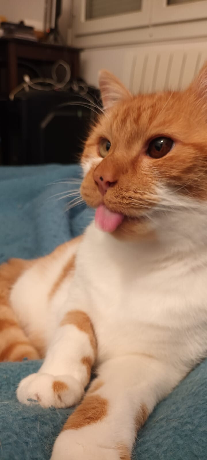 6804870.jpg 6804870.jpg