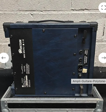 Ampli Guitare Polytone MB II mini brute 
