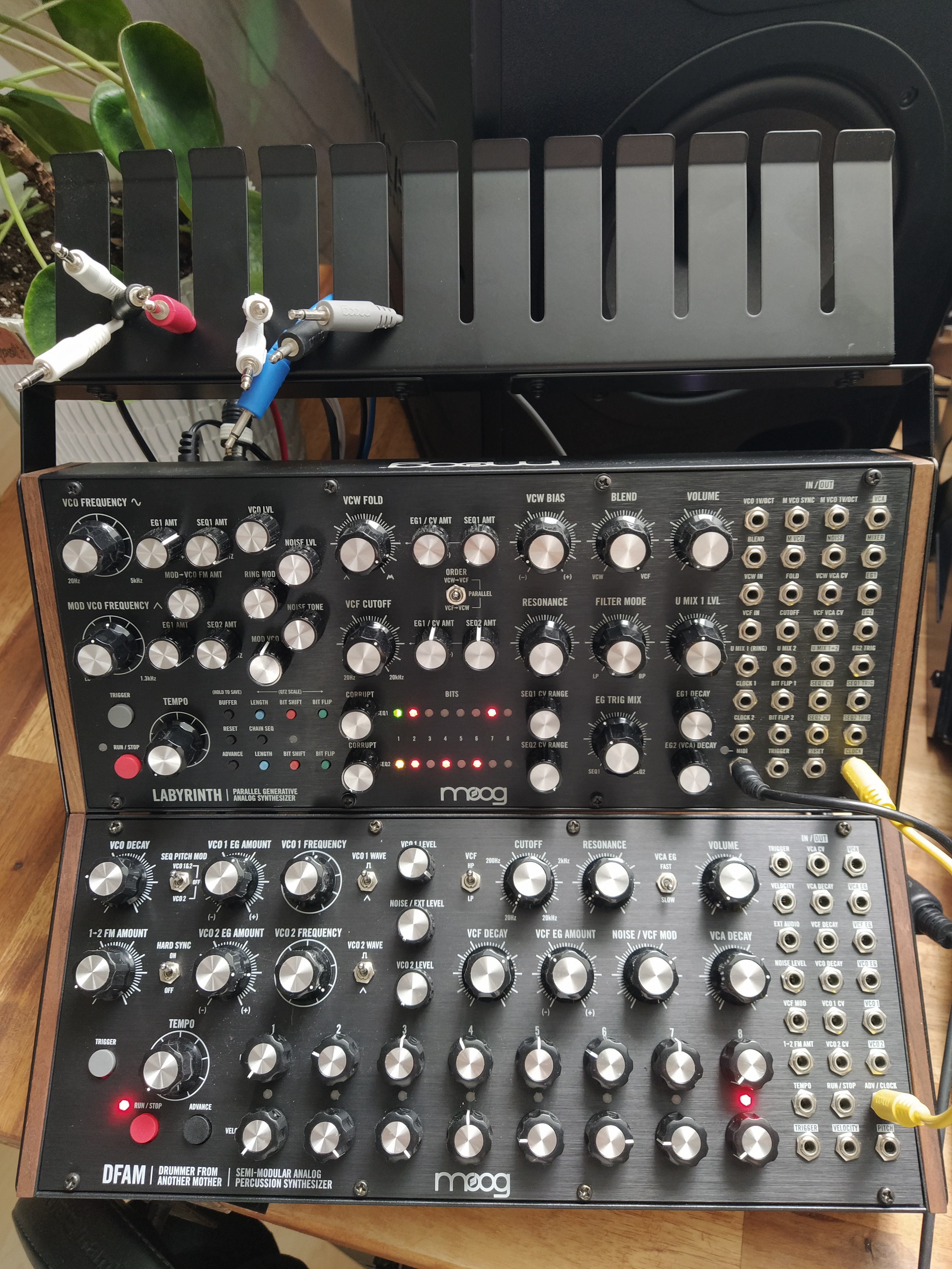 Moog Sound Studio 2 (DFAM + Labyrinth) sans mixeur