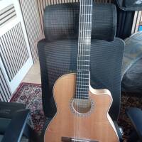 Vends guitare Godin/ la Patrie Arena Flame Maple CW