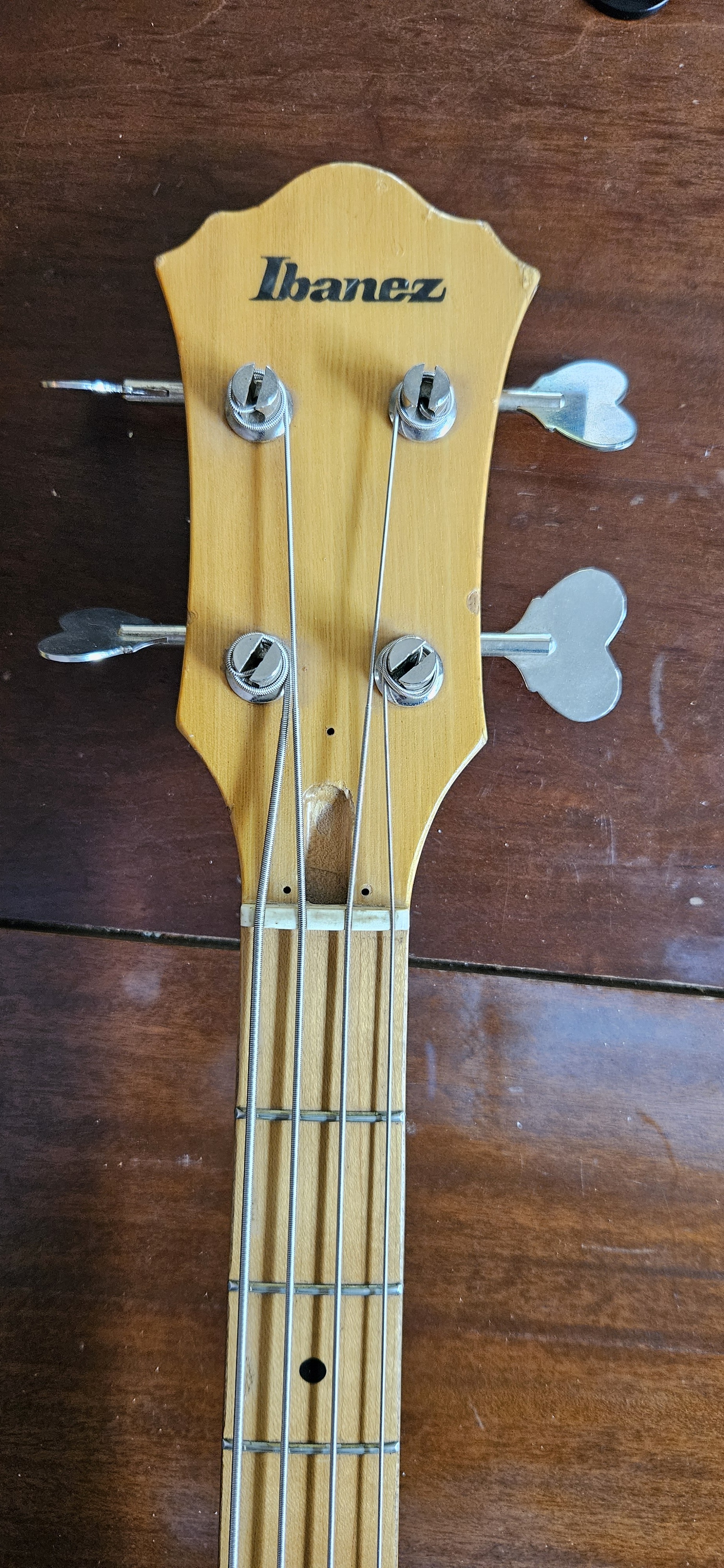 Basse Ibanez Roadstar RS824