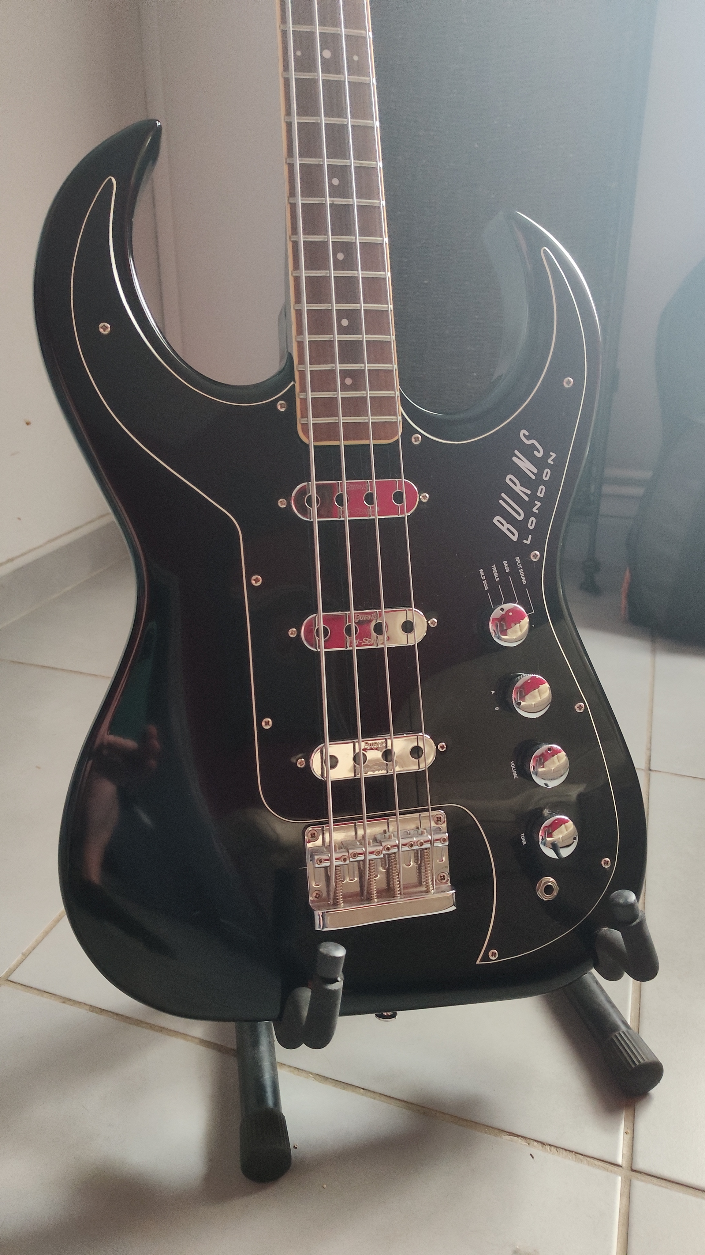 Burns Bison Bass (2003)