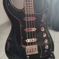 Burns Bison Bass (2003)