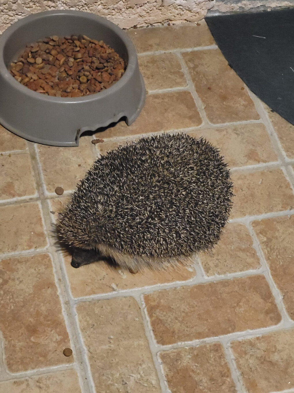 6807560.jpg 6807560.jpg