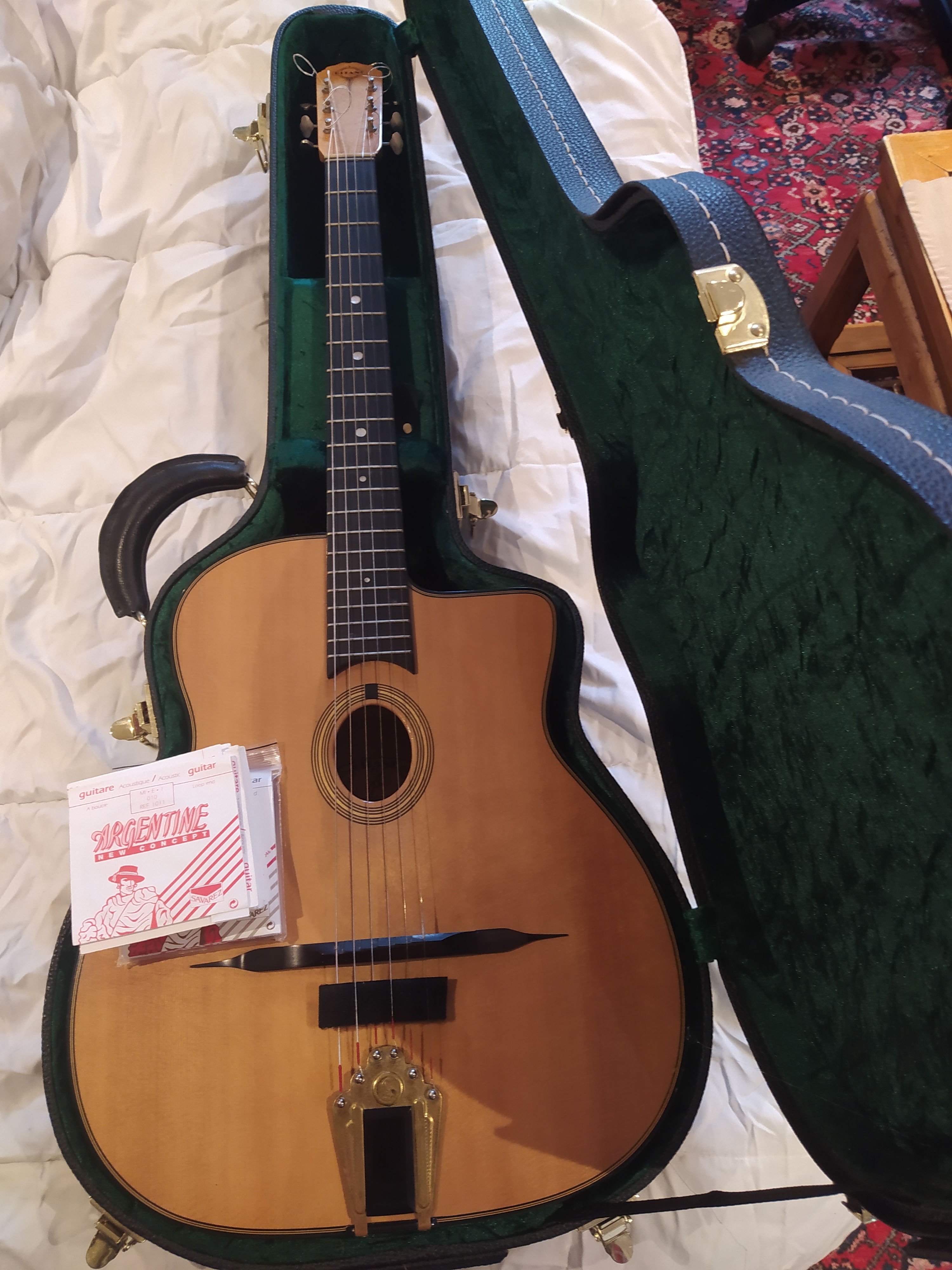 Gitane DG 250 M prix argus AF, case offert