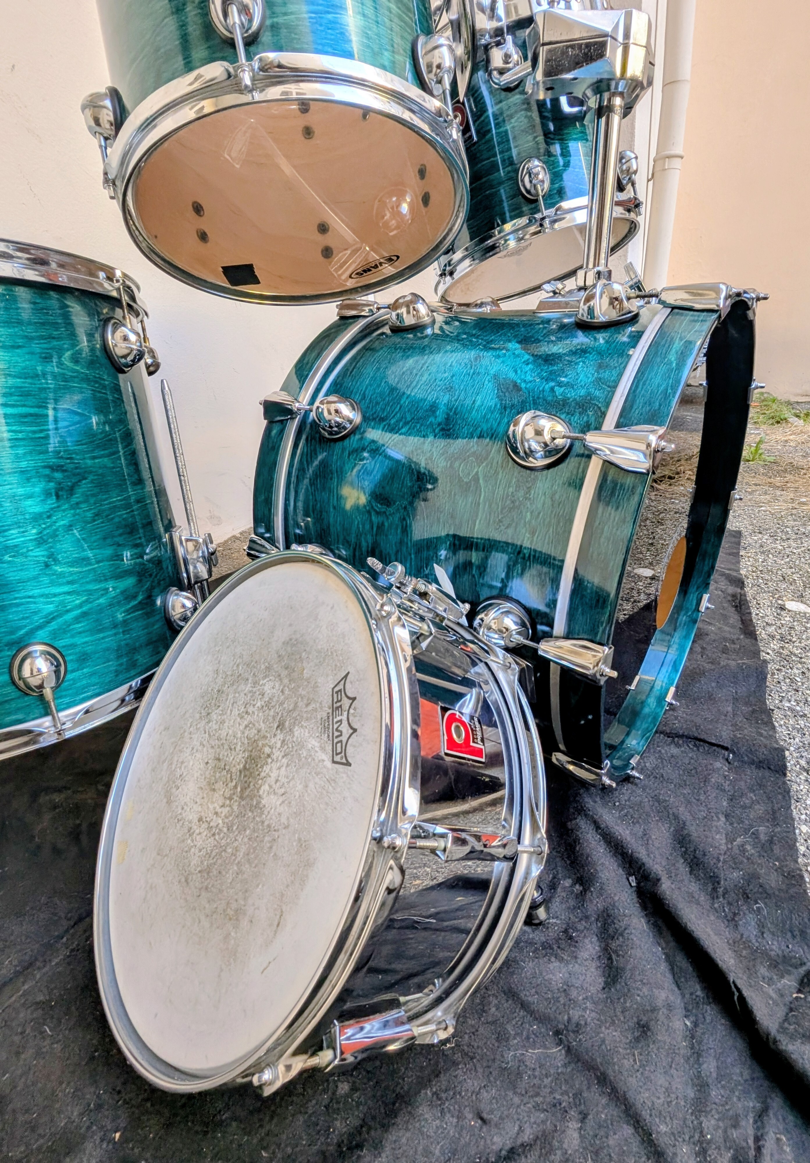 PREMIER "Genista" bouleau 1992 , super propre