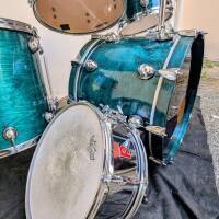 PREMIER "Genista" bouleau 1992 , super propre