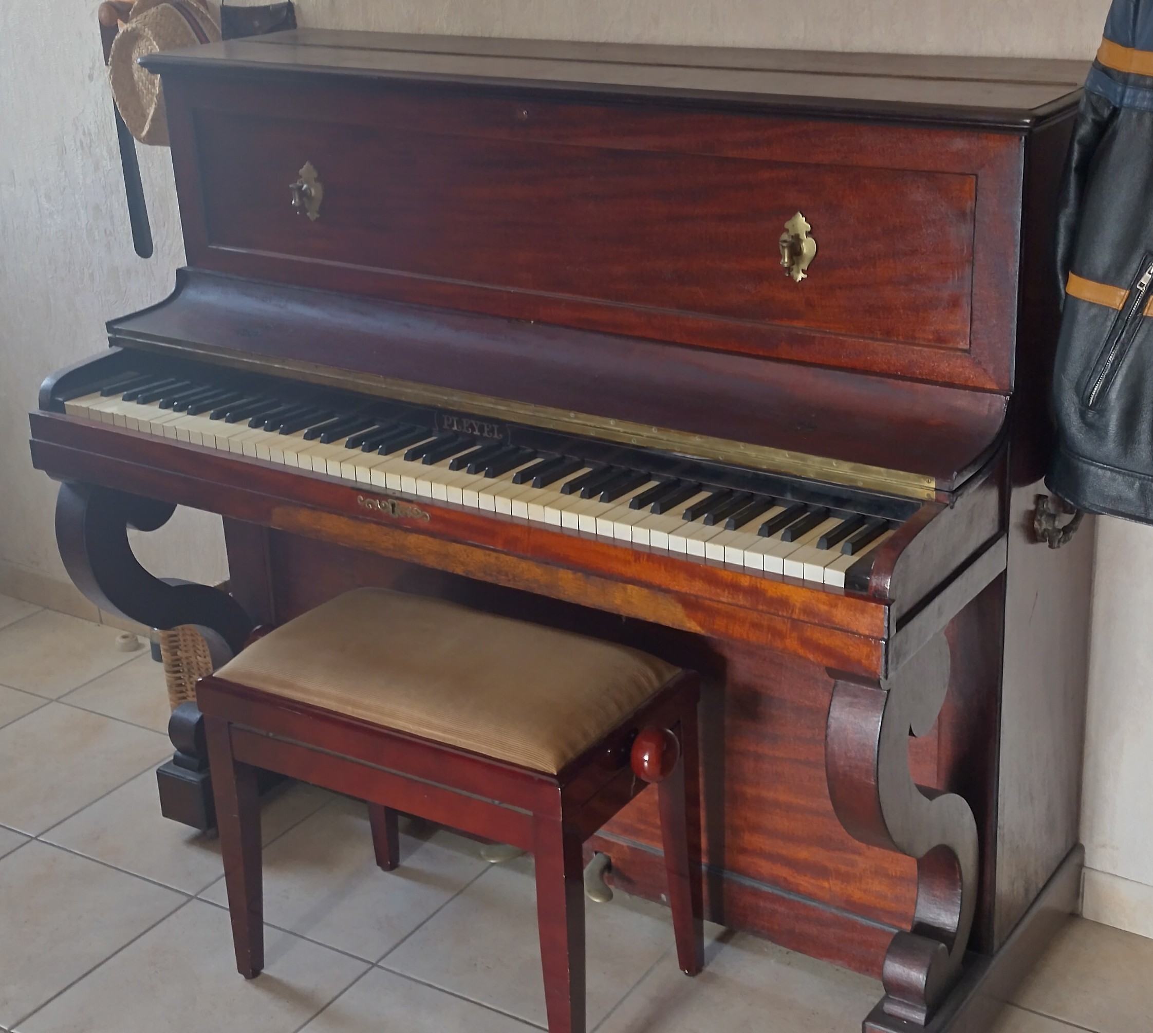 Donne Pleyel du XIXème siècle 