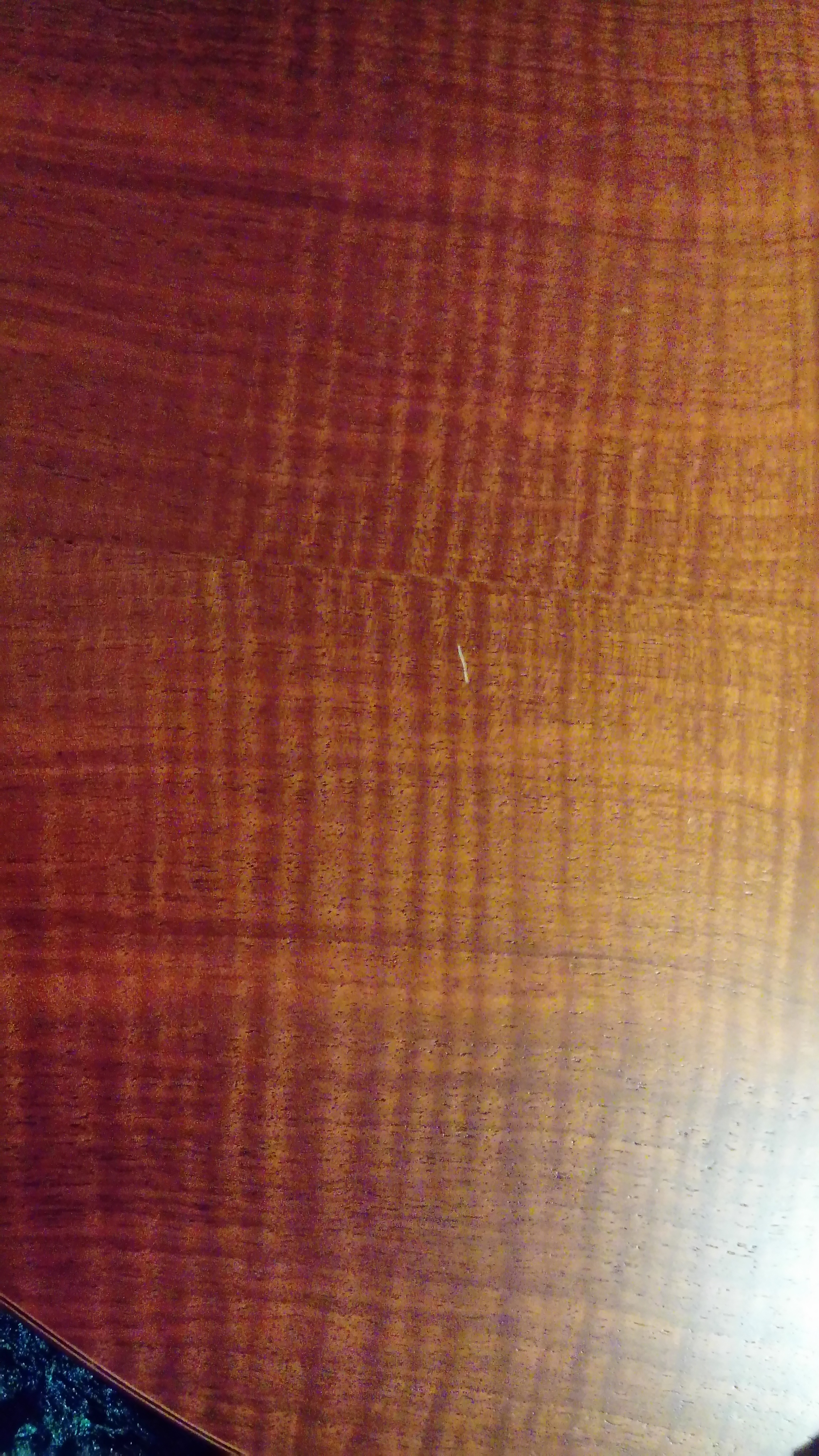 DSC 0065