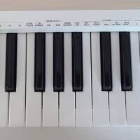 Vends Clavier maitre Roland A-49