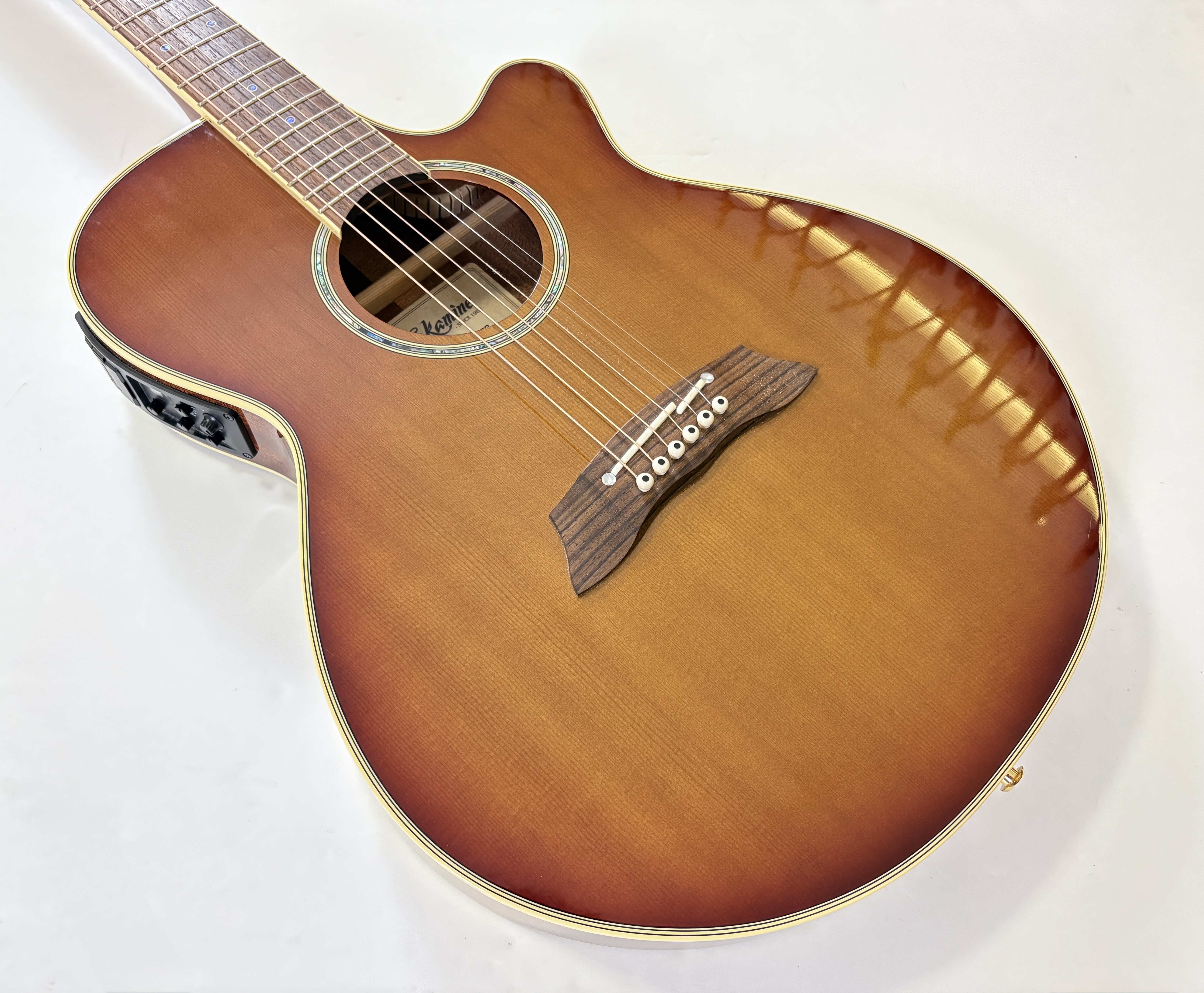 Takamine TSP138C (88404)