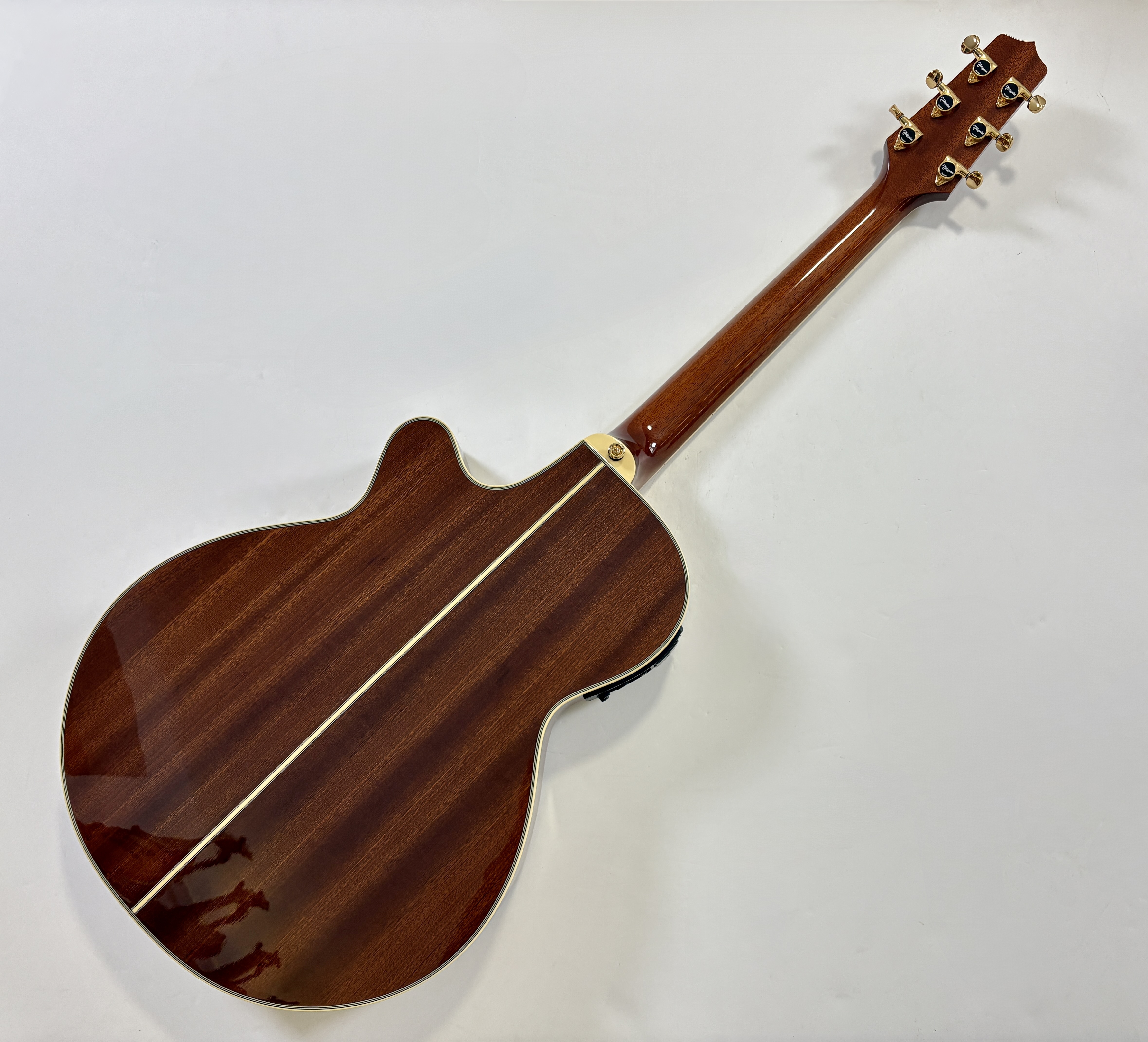 Takamine TSP138C (40030)