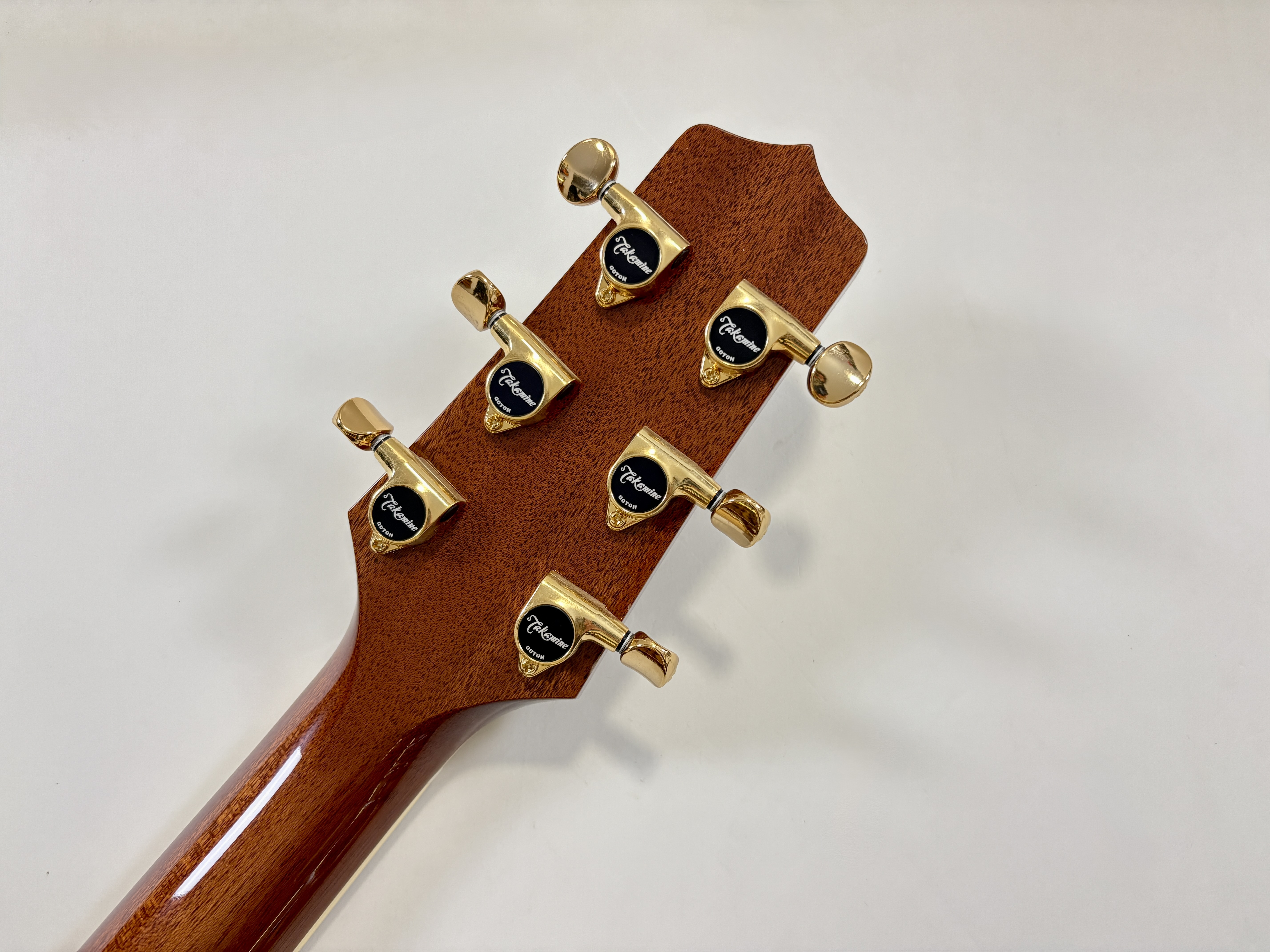 Takamine TSP138C (23341)