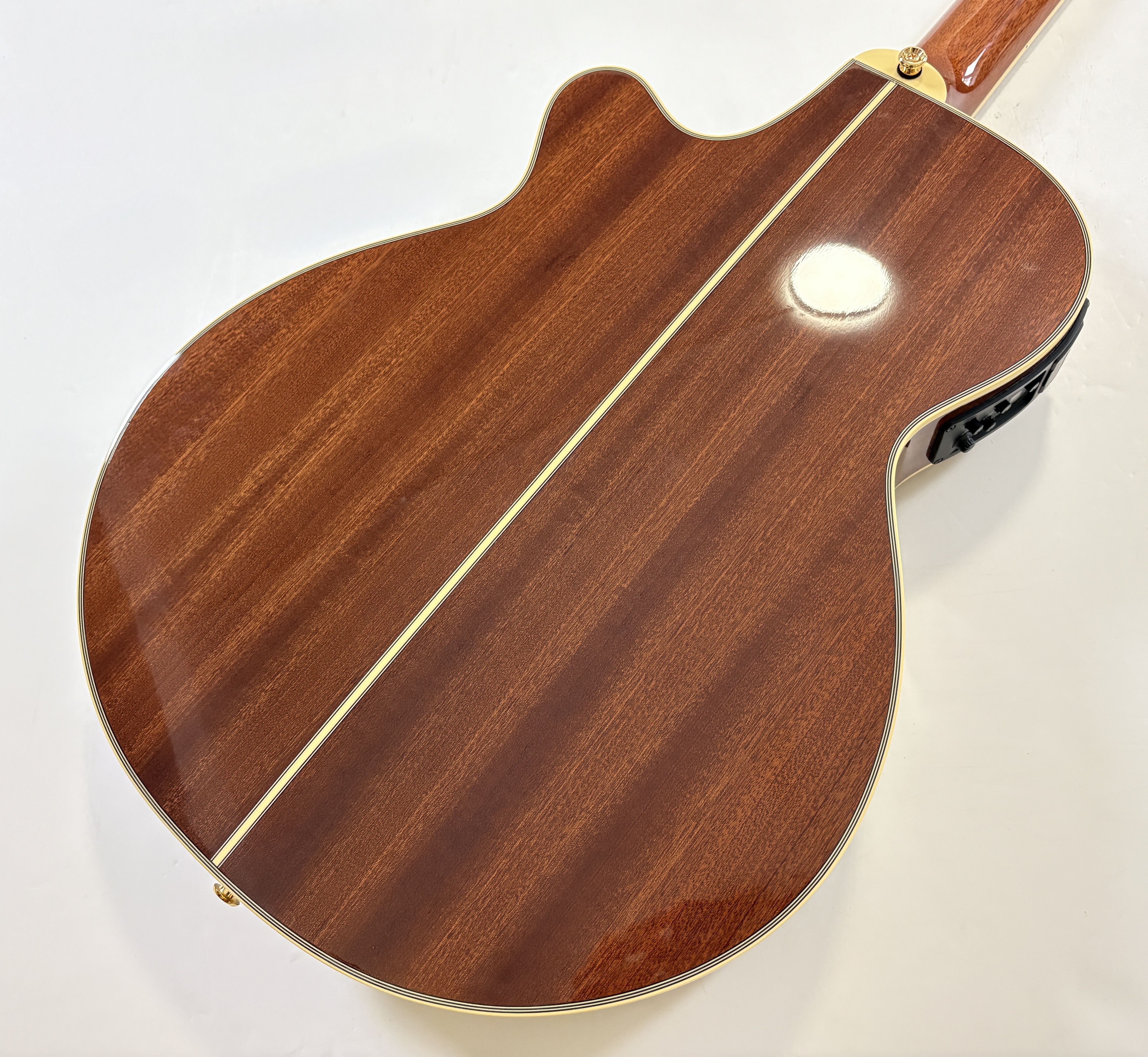 Takamine TSP138C (29907)