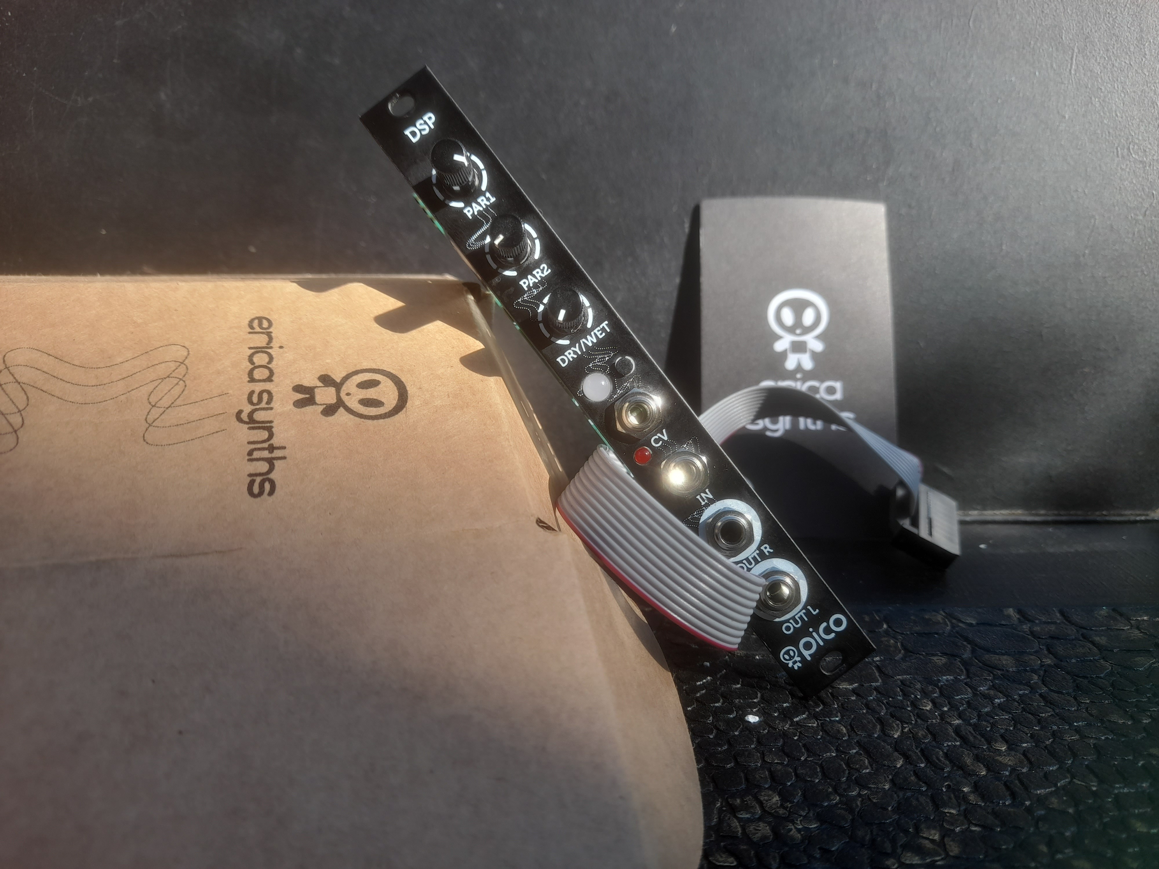 Module eurorack pico dsp Erica Synth