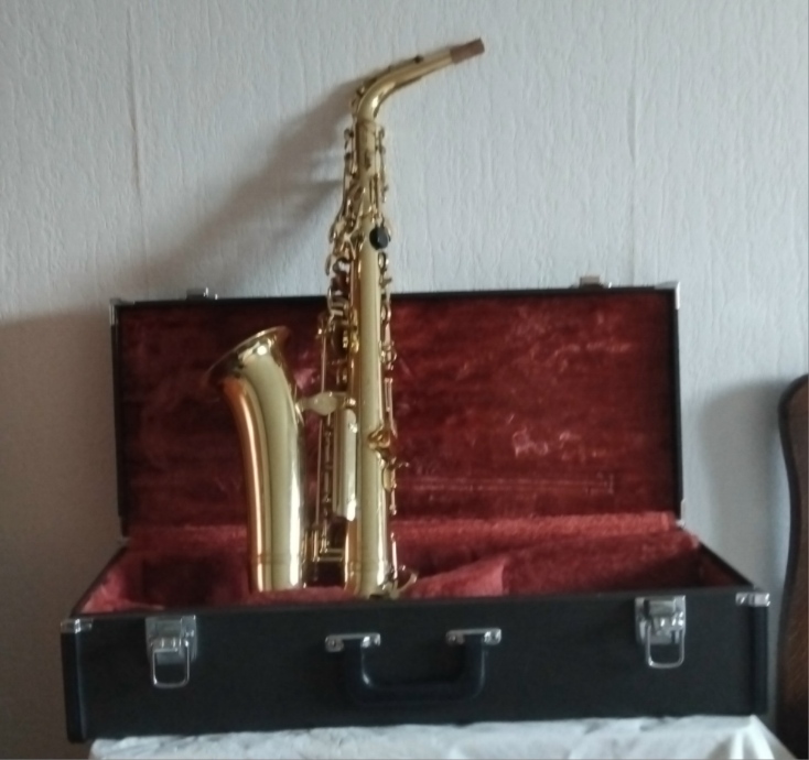 saxo alto yas 25 