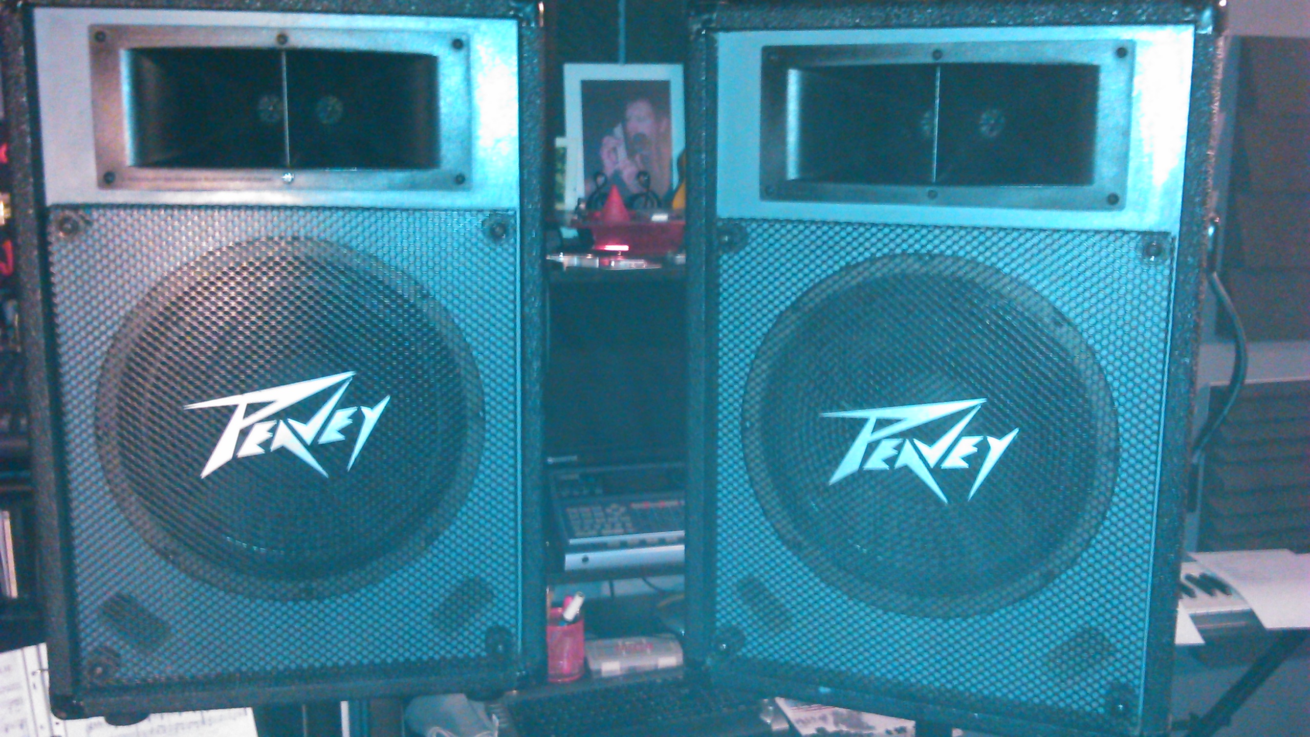 Vends Enceintes passives PEAVEY ES-12 