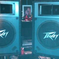 Vends Enceintes passives PEAVEY ES-12