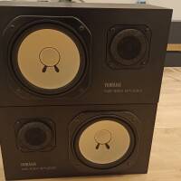 Paire de Yamaha NS10m
