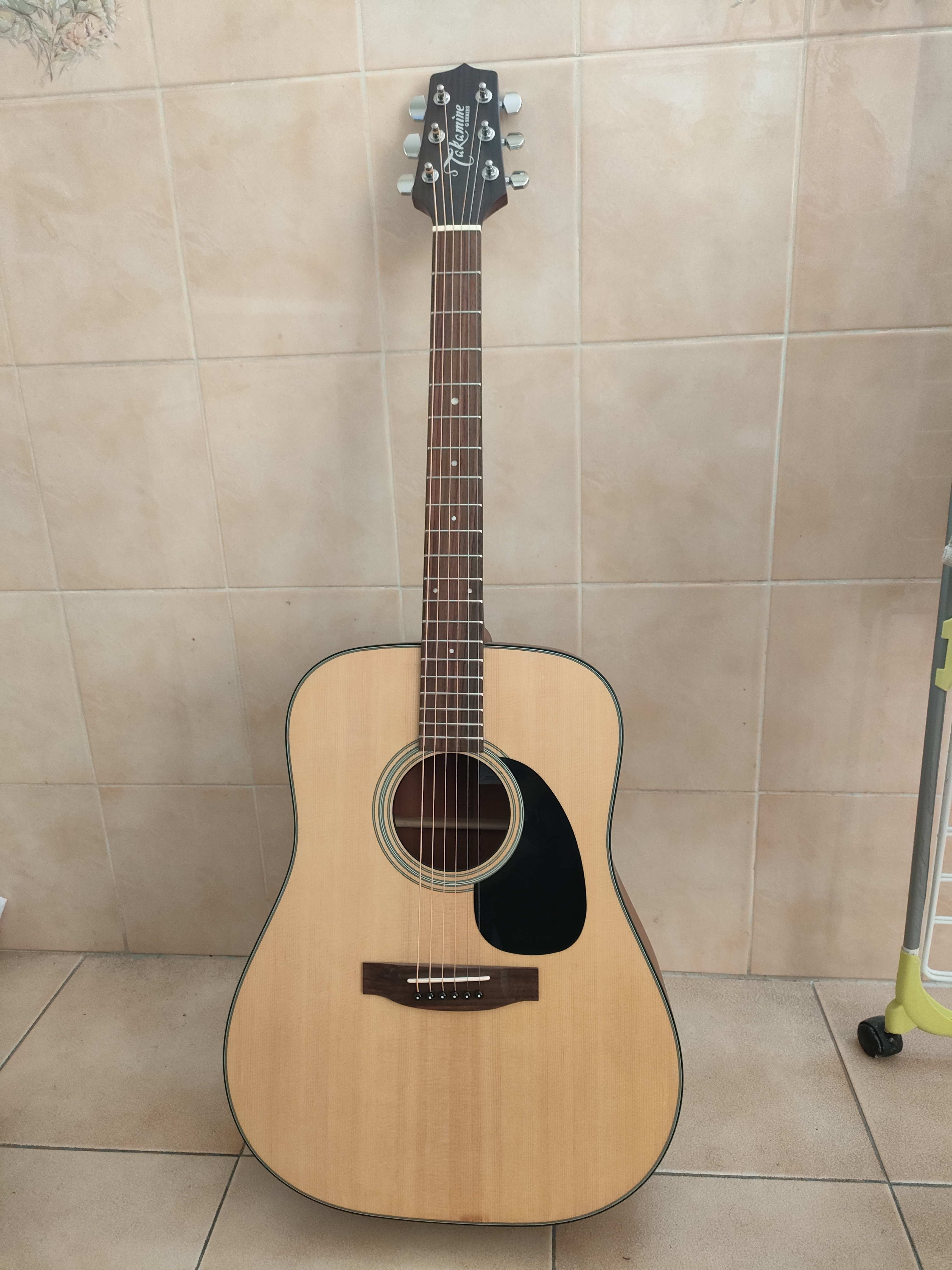 Guitare Takamine G320NS avec étiquette – dreadnought